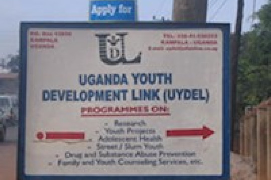 Uganda Youth Development Link (UYDEL)